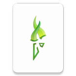 Torch