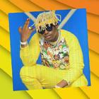 Rayvanny All Songs icon