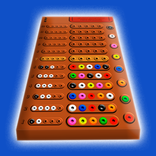 Codekraker: Logische Puzzel