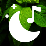 Sleep Sounds – Relaxing Sleep