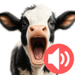 Cow Sounds icon