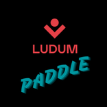 Ludum Paddle