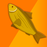 Swarms Of Fish