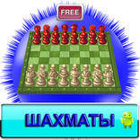 Шахматы