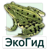 ”ЭкоГид: Амфибии - Определитель