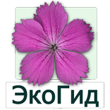 ЭкоГид: Цветы – Определитель