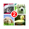Guess the word 2~4 Pics 1 Word APK