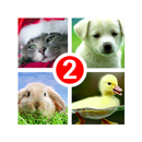 Guess the word 2~4 Pics 1 Word APK