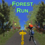 Forest Run