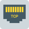 TCP Client APK