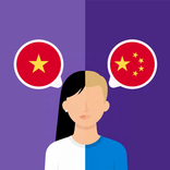 Vietnamese-Chinese translator