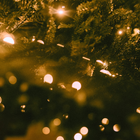 Christmas Background icon