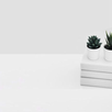 Minimalist Beauty Background APK
