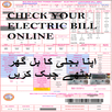 Check Mapco Electric Bill Online APK
