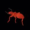 ANTİO APK