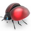 Fortunella APK