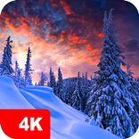 冬の壁紙 4K