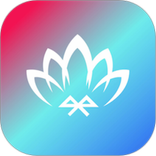 宝莲灯