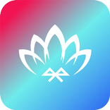 宝莲灯