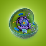 Cell Structure