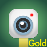 測速照相Gold