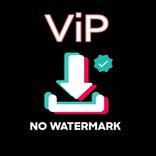 Tiktok VIP