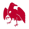 Novel Translation APK