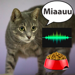 Cat translator