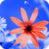 Поздравления на все праздники APK
