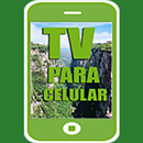TV PARA CELULAR APK