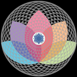 High Vibe TV Spiritual Network