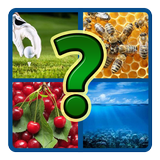 4 Картинки: Угадай Слово-APK