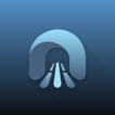 Easy Host: Localhost Online icon