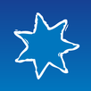 bluestar bus APK