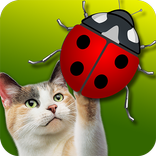 Go-Cat® JitterBug