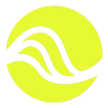 Minirig 4 Control App