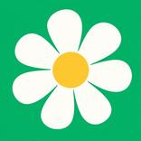 Flowers Delivery - MyFlowers