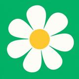 Flowers Delivery - MyFlowers APK