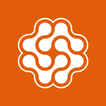Thanex: The Work Camera icon