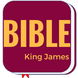 KJV Study Bible