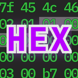 Hex Editor, Binary Viewer