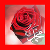 Hz.Muhammed'in Hayatı APK
