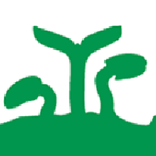 NTF-Shop