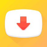 Video Downloader