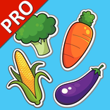 야채 플래시카드 PRO : 영어를 배우다