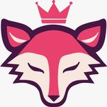 FOXNET ROUTE