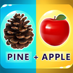 2 Pics 1 Word - Guessing Word icon