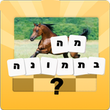 מה בתמונה - גלו מה מסתתר