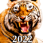 Horoscope 2022 - Chinese new y icon