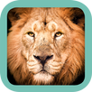 Sasol Mammals for Beginners APK